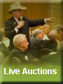 Live Auctions